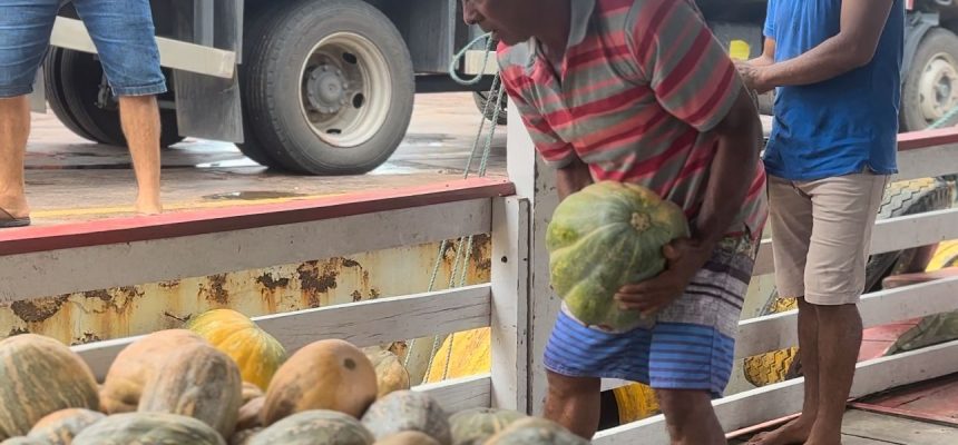 O Governo do Estado do Amazonas, através do Programa Balcão de Agronegócios, executado pela Agência de Desenvolvimento Sustentável do Amazonas (ADS), intermediou e auxiliou o escoamento de 9 toneladas de jerimum da comunidade Costa do Barroso, em Manaquiri (a 60 quilômetros da capital). Em Manacapuru (a 68 quilômetros de Manaus), foram intermediadas 6 toneladas de macaxeira