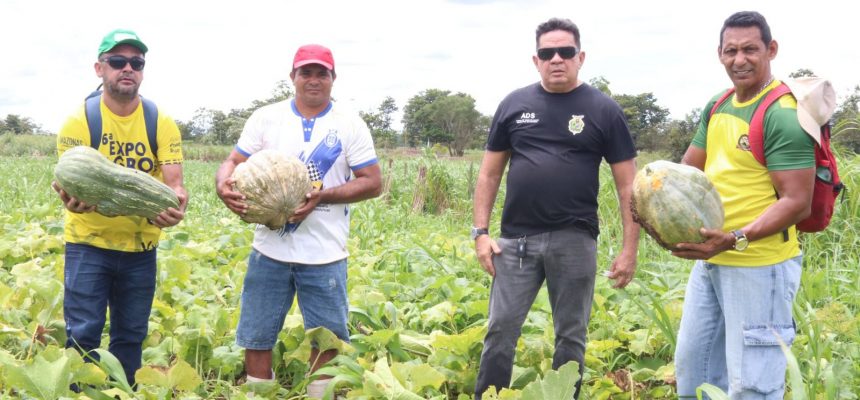 A Agência de Desenvolvimento Sustentável do Amazonas (ADS) realizou, na quarta-feira (12), avaliações de capacidade produtiva em quatro propriedades rurais na comunidade Nossa Senhora da Esperança, Ilha e Costa do Barroso, em Manaquiri (a 60 quilômetros de Manaus). O objetivo foi auxiliar os produtores da agricultura familiar no processo de comercialização dos produtos regionais por meio do Programa Balcão de Agronegócios.