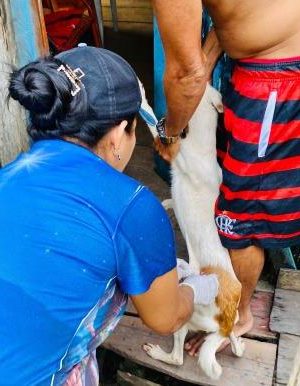 A campanha está sendo realizada pela equipe de Vigilância em Saúde, composta pelos agentes de endemias e vigilância sanitária nas residências da sede do município.